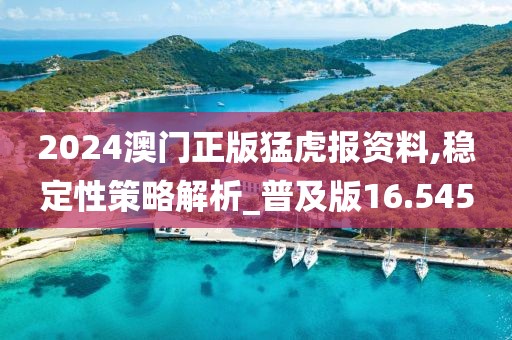 2024澳门正版猛虎报资料,稳定性策略解析_普及版16.545
