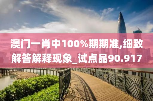 澳门一肖中100%期期准,细致解答解释现象_试点品90.917