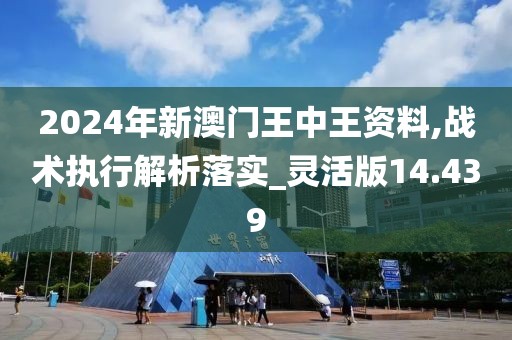 2024年新澳门王中王资料,战术执行解析落实_灵活版14.439