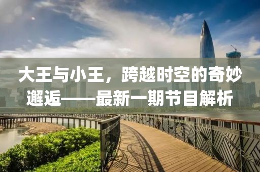 大王与小王，跨越时空的奇妙邂逅——最新一期节目解析