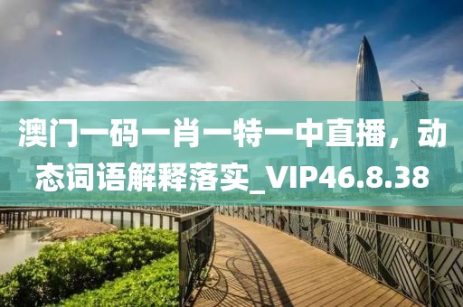 澳门一码一肖一特一中直播，动态词语解释落实_VIP46.8.38