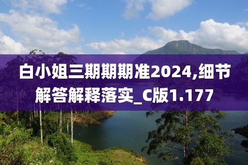 白小姐三期期期准2024,细节解答解释落实_C版1.177