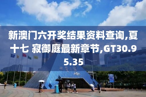 新澳门六开奖结果资料查询,夏十七 寂御庭最新章节,GT30.95.35