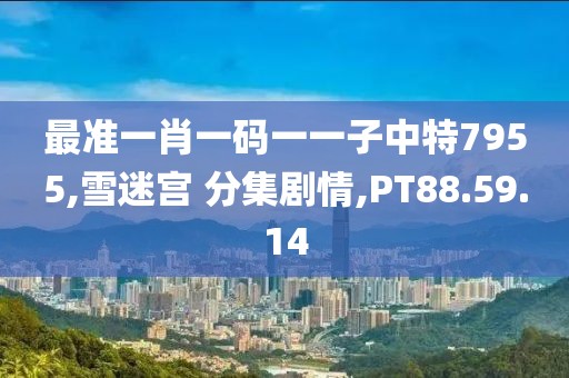 最准一肖一码一一子中特7955,雪迷宫 分集剧情,PT88.59.14