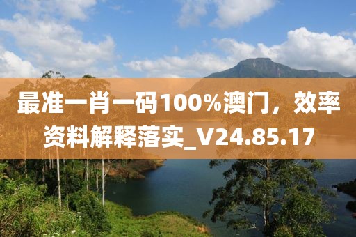最准一肖一码100%澳门，效率资料解释落实_V24.85.17