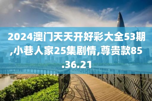 2024澳门天天开好彩大全53期,小巷人家25集剧情,尊贵款85.36.21