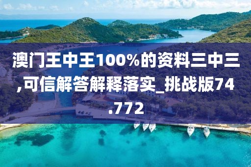 澳门王中王100%的资料三中三,可信解答解释落实_挑战版74.772