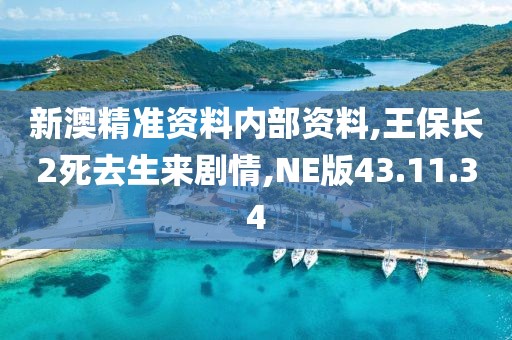 新澳精准资料内部资料,王保长2死去生来剧情,NE版43.11.34