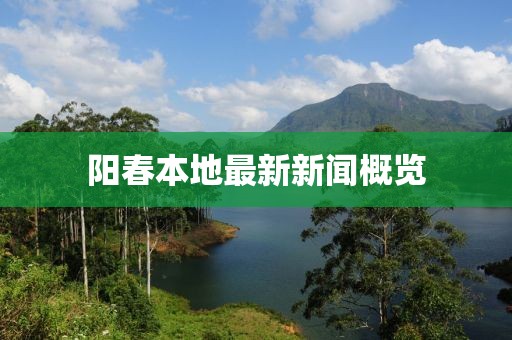 阳春本地最新新闻概览