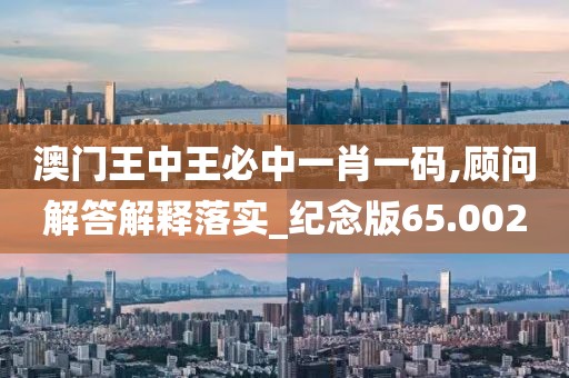 澳门王中王必中一肖一码,顾问解答解释落实_纪念版65.002