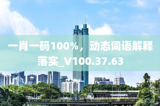 一肖一码100%，动态词语解释落实_V100.37.63