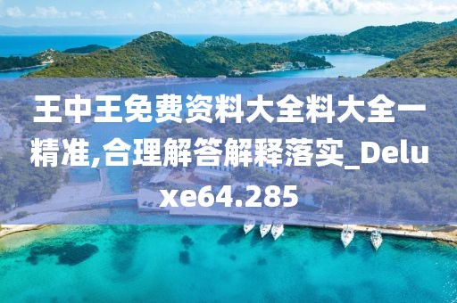 王中王免费资料大全料大全一精准,合理解答解释落实_Deluxe64.285