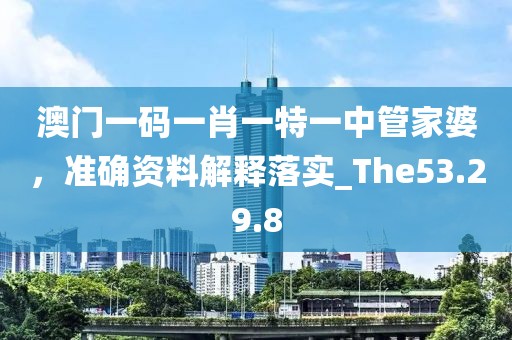 澳门一码一肖一特一中管家婆，准确资料解释落实_The53.29.8