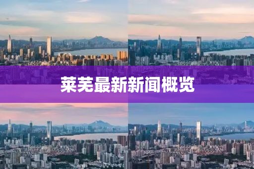 莱芜最新新闻概览