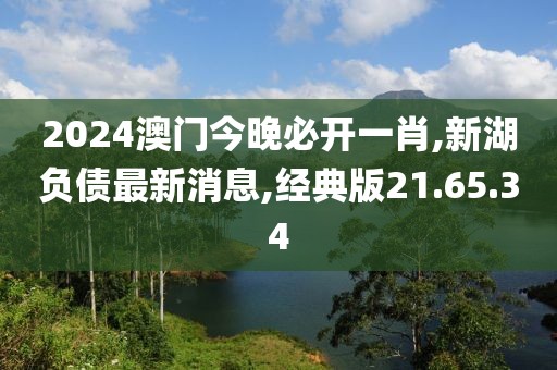 2024澳门今晚必开一肖,新湖负债最新消息,经典版21.65.34