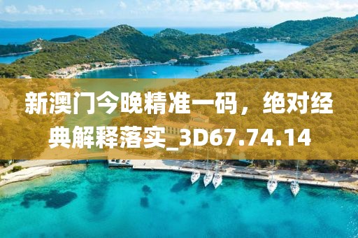 新澳门今晚精准一码，绝对经典解释落实_3D67.74.14