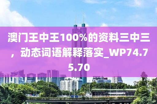 澳门王中王100%的资料三中三，动态词语解释落实_WP74.75.70