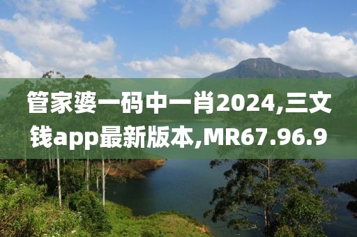 管家婆一码中一肖2024,三文钱app最新版本,MR67.96.9