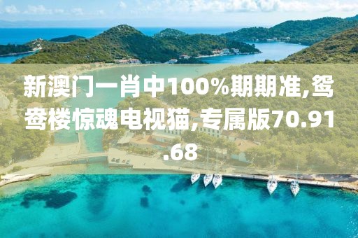 新澳门一肖中100%期期准,鸳鸯楼惊魂电视猫,专属版70.91.68