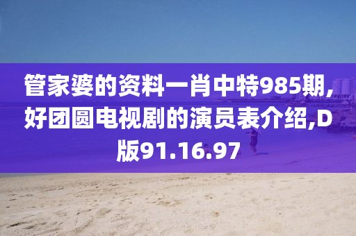管家婆的资料一肖中特985期,好团圆电视剧的演员表介绍,D版91.16.97