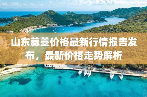 山东蒜薹价格最新行情报告发布，最新价格走势解析