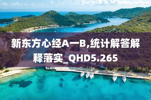 新东方心经A一B,统计解答解释落实_QHD5.265
