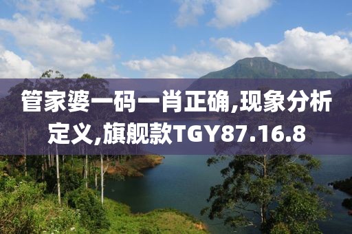 管家婆一码一肖正确,现象分析定义,旗舰款TGY87.16.8