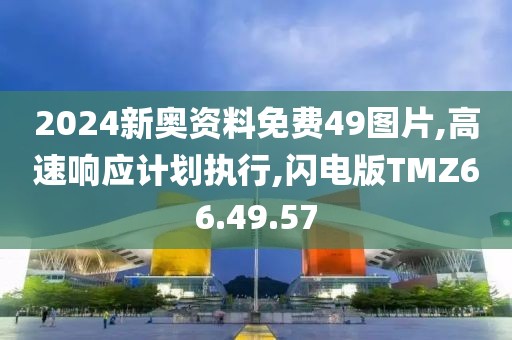 2024新奥资料免费49图片,高速响应计划执行,闪电版TMZ66.49.57
