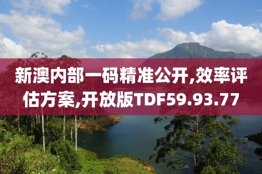 新澳内部一码精准公开,效率评估方案,开放版TDF59.93.77