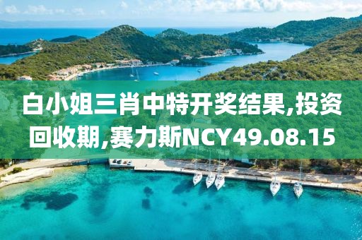 白小姐三肖中特开奖结果,投资回收期,赛力斯NCY49.08.15