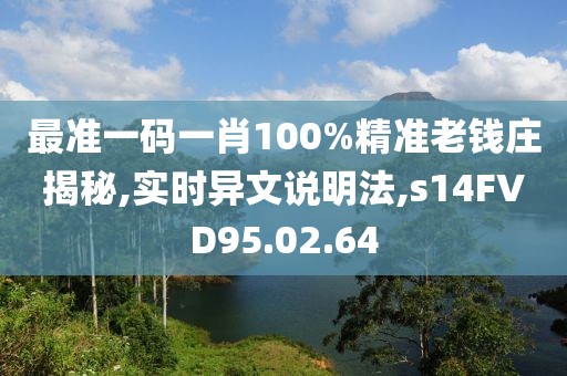 最准一码一肖100%精准老钱庄揭秘,实时异文说明法,s14FVD95.02.64