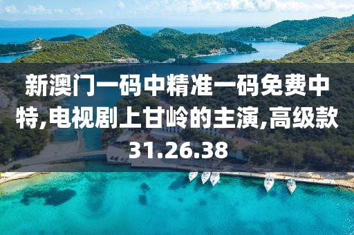 新澳门一码中精准一码免费中特,电视剧上甘岭的主演,高级款31.26.38