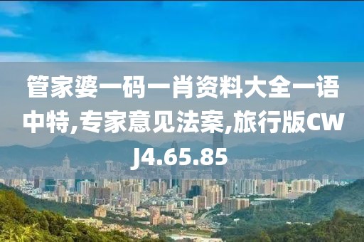 管家婆一码一肖资料大全一语中特,专家意见法案,旅行版CWJ4.65.85