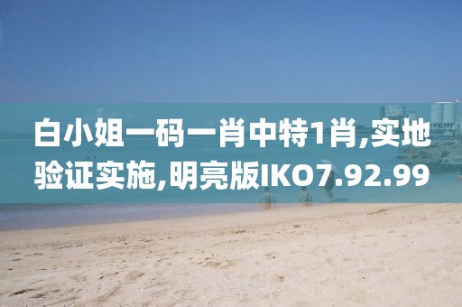白小姐一码一肖中特1肖,实地验证实施,明亮版IKO7.92.99