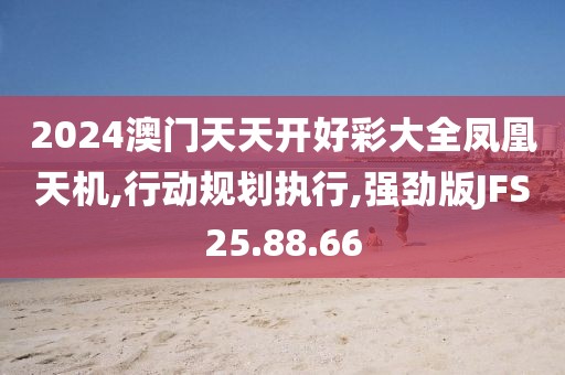 2024澳门天天开好彩大全凤凰天机,行动规划执行,强劲版JFS25.88.66