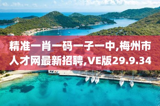 精准一肖一码一子一中,梅州市人才网最新招聘,VE版29.9.34