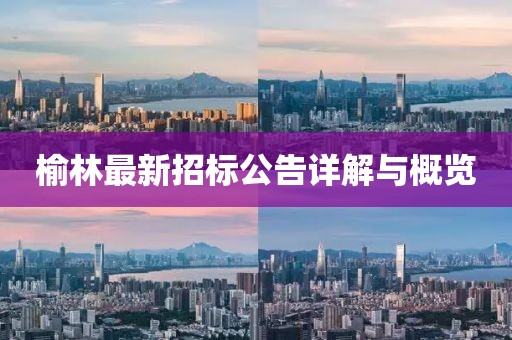 榆林最新招标公告详解与概览