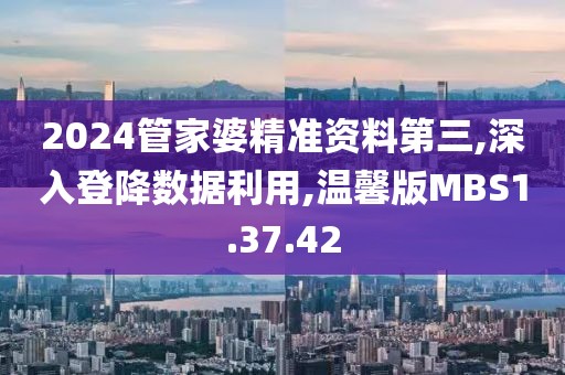 2024管家婆精准资料第三,深入登降数据利用,温馨版MBS1.37.42