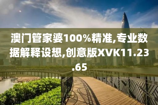 澳门管家婆100%精准,专业数据解释设想,创意版XVK11.23.65
