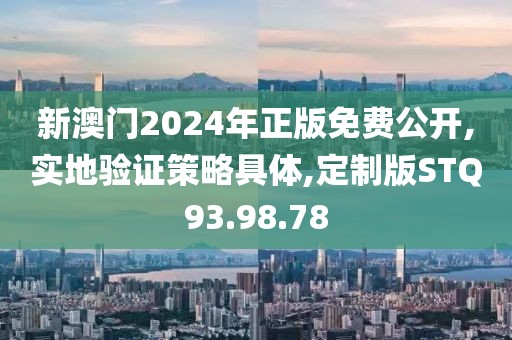 新澳门2024年正版免费公开,实地验证策略具体,定制版STQ93.98.78
