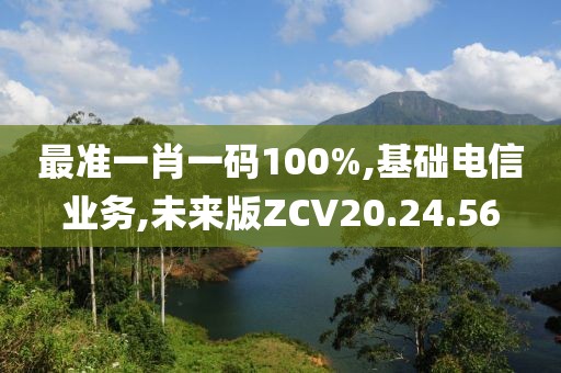 最准一肖一码100%,基础电信业务,未来版ZCV20.24.56