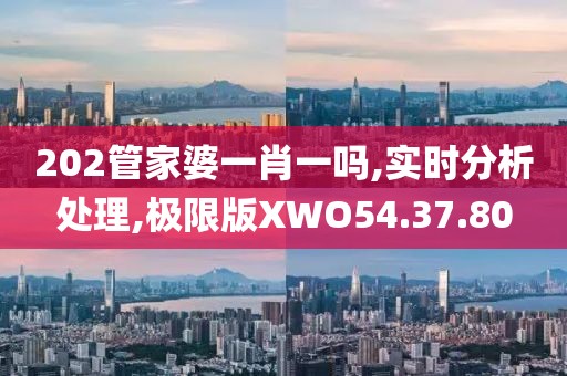 202管家婆一肖一吗,实时分析处理,极限版XWO54.37.80