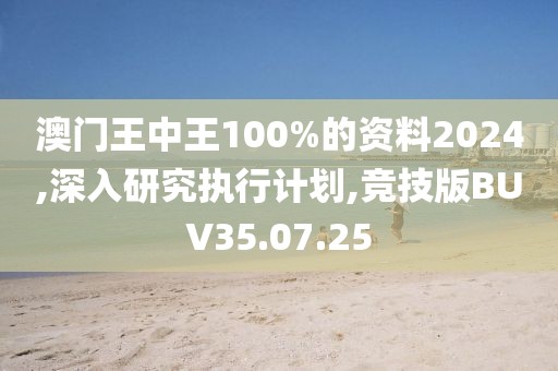 澳门王中王100%的资料2024,深入研究执行计划,竞技版BUV35.07.25