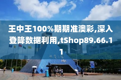 王中王100%期期准澳彩,深入登降数据利用,tShop89.66.11