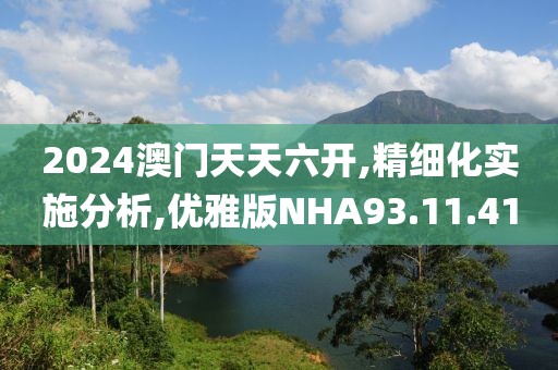 2024澳门天天六开,精细化实施分析,优雅版NHA93.11.41