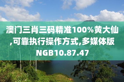 澳门三肖三码精准100%黄大仙,可靠执行操作方式,多媒体版NGB10.87.47