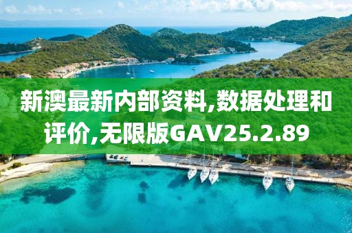 新澳最新内部资料,数据处理和评价,无限版GAV25.2.89