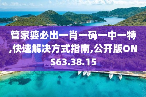 管家婆必出一肖一码一中一特,快速解决方式指南,公开版ONS63.38.15