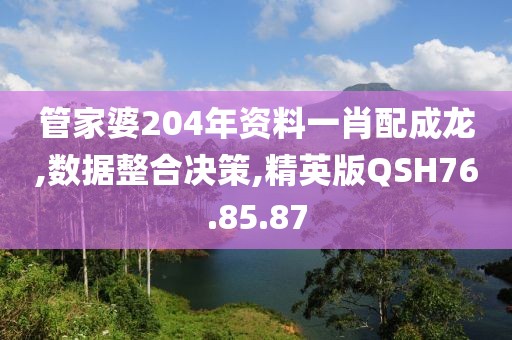 管家婆204年资料一肖配成龙,数据整合决策,精英版QSH76.85.87