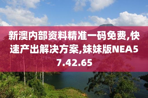 新澳内部资料精准一码免费,快速产出解决方案,妹妹版NEA57.42.65